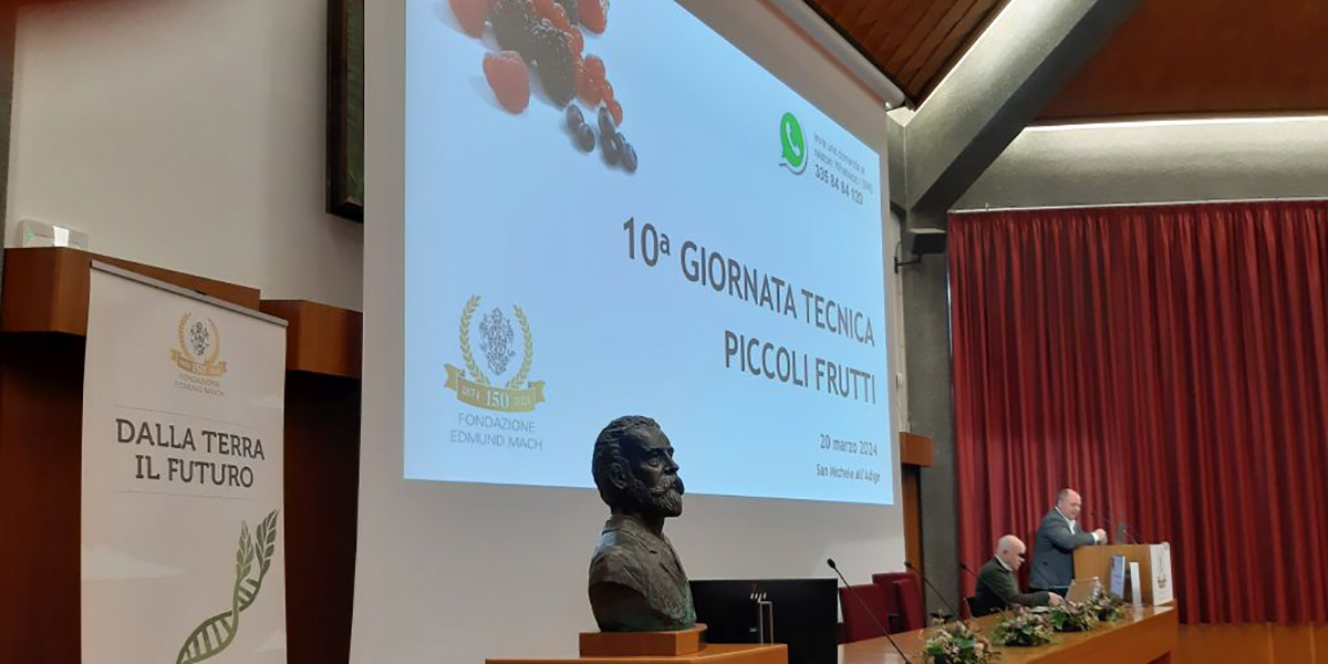 Piccoli frutti, focus su coltivazione e difesa alla 10^ giornata tecnica Fem